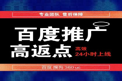 百度推广中SEO优化的成功案例分析